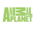 Animal Planet