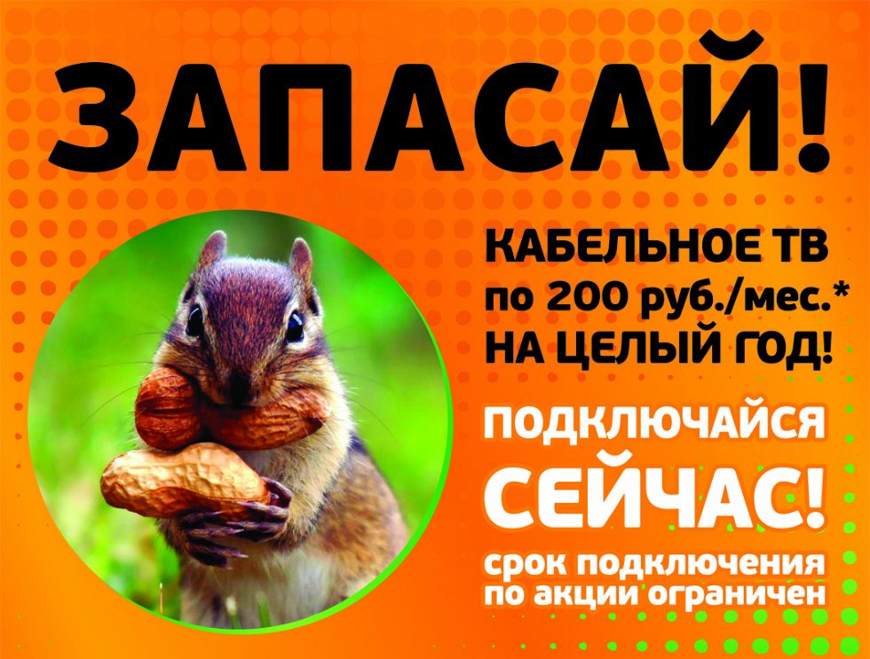 Компания TELENET запускает новую специальную акцию «ЗАПАСАЙ»