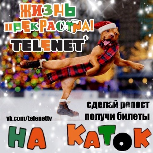Жизнь прекрасна с TELENET!